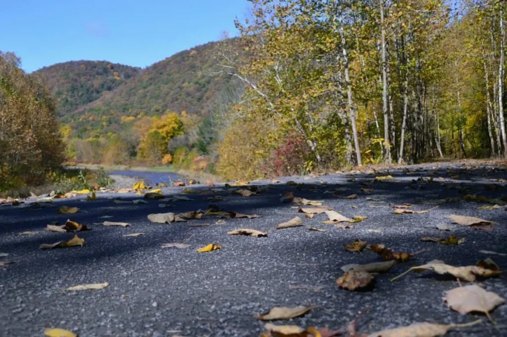 Road with Fall Leaves 